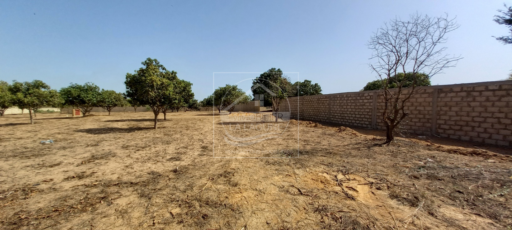 Agence Immobilière Saly Sénégal - T2726 - Terrain à NGAPAROU - 