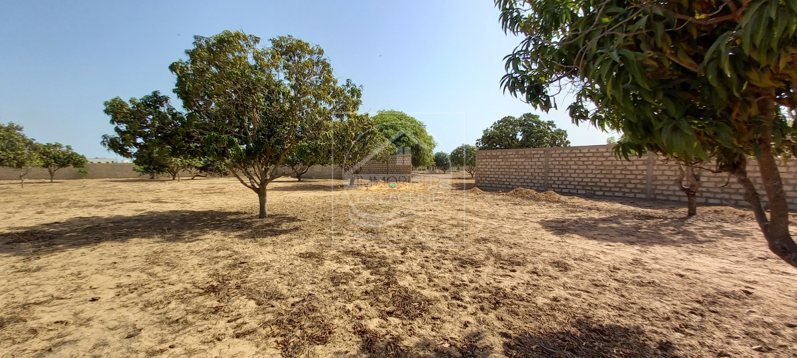 Agence Immobilière Saly Sénégal - T2726 - Terrain à NGAPAROU - 