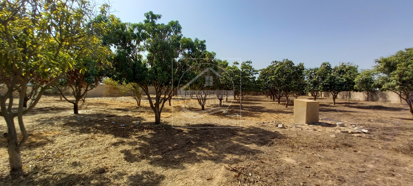 Agence Immobilière Saly Sénégal - T2728 - Terrain à NGAPAROU - 