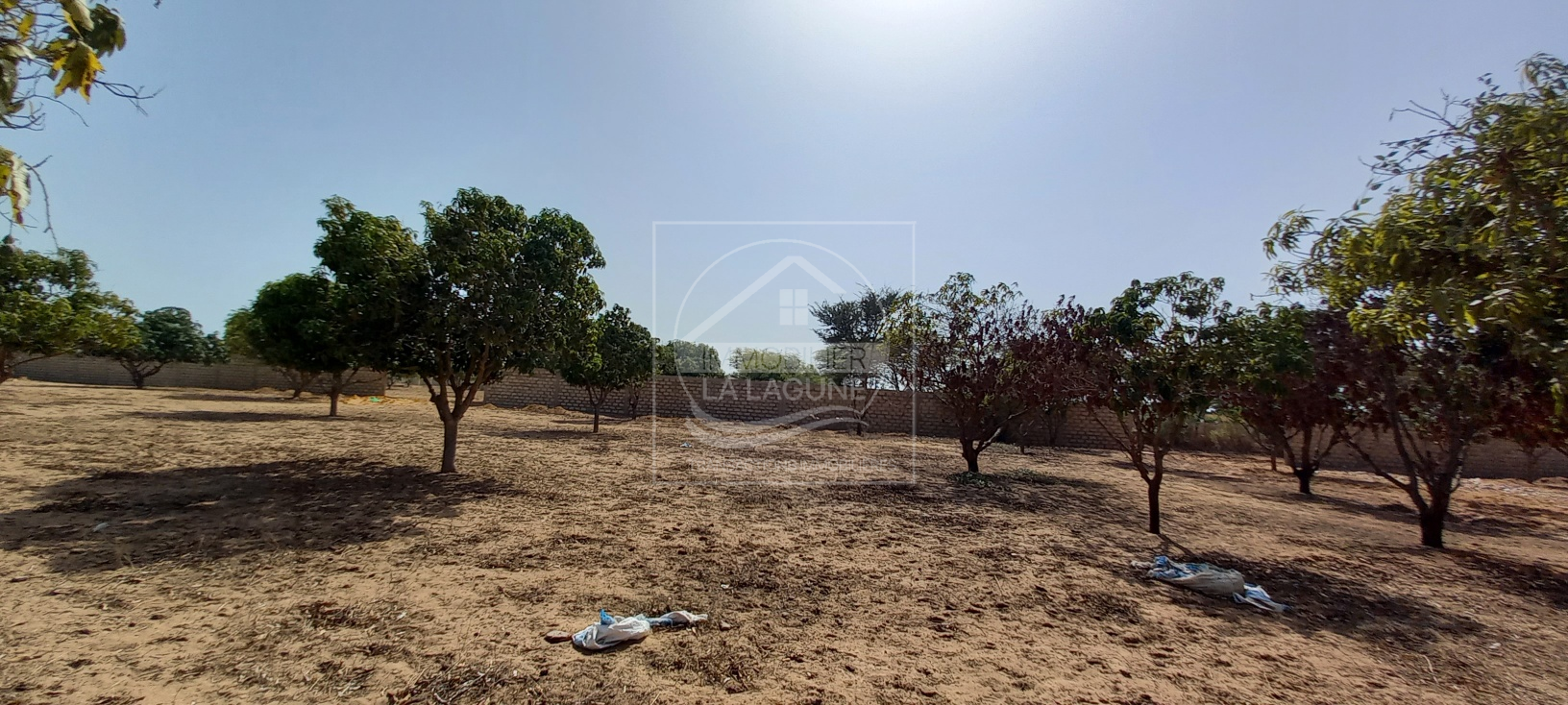 Agence Immobilière Saly Sénégal - T2728 - Terrain à NGAPAROU - 