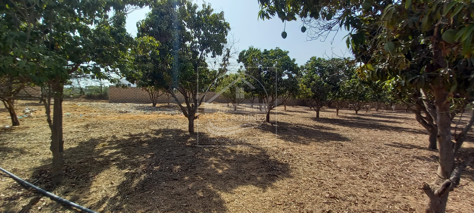 Agence Immobilière Saly Sénégal - T2728 - Terrain à NGAPAROU - 