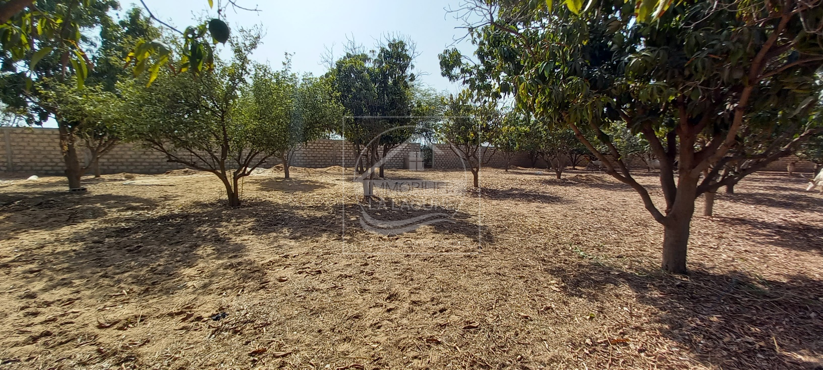 Agence Immobilière Saly Sénégal - T2728 - Terrain à NGAPAROU - 