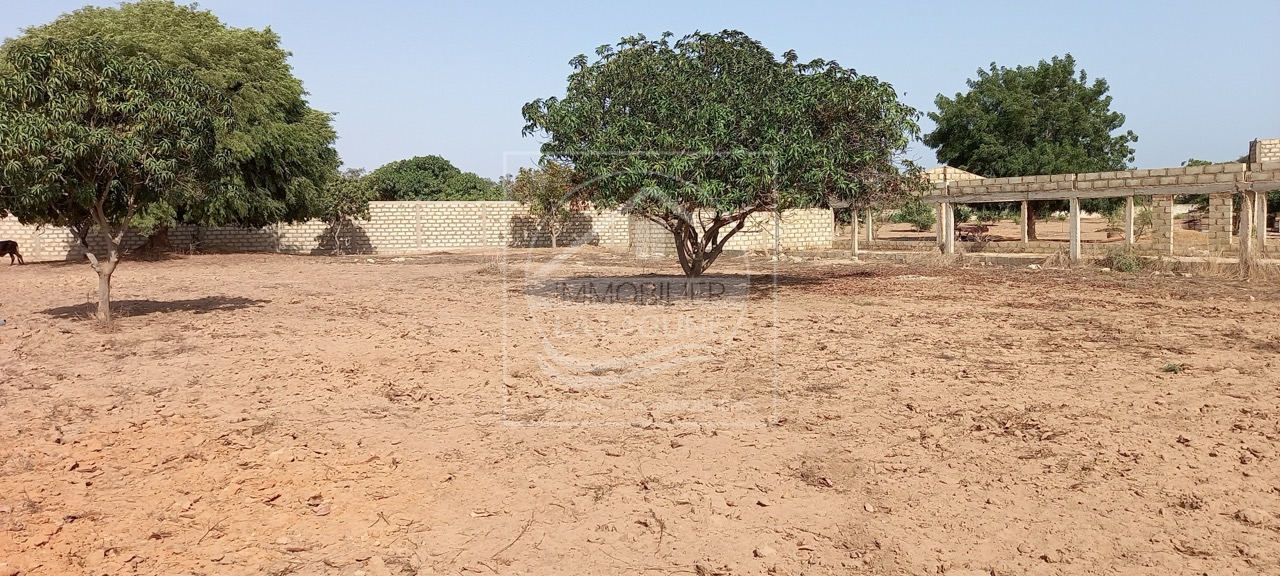 Agence Immobilière Saly Sénégal - T2793 - Terrain à NGAPAROU - T2793-terrain-a-vendre-a-ngaparou-senegal