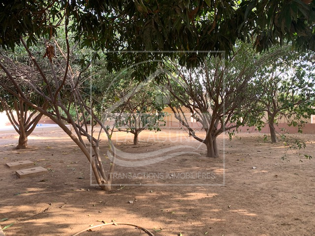 Agence Immobilière Saly Sénégal - V2800 - Villa à NGUERIGNE - V2800 maison a renover nguerigne senegal