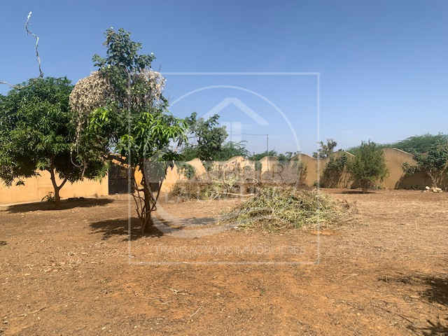 Agence Immobilière Saly Sénégal - T2833 - Terrain à SOMONE - T2833 Terrain a vendre a somone senegal