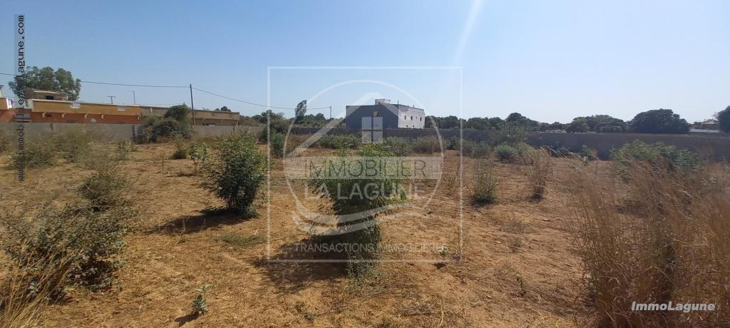 Agence Immobilière Saly Sénégal - T2863 - Terrain à NGUERIGNE - T2863-terrain-a-vendre-a-nguerigne-senegal