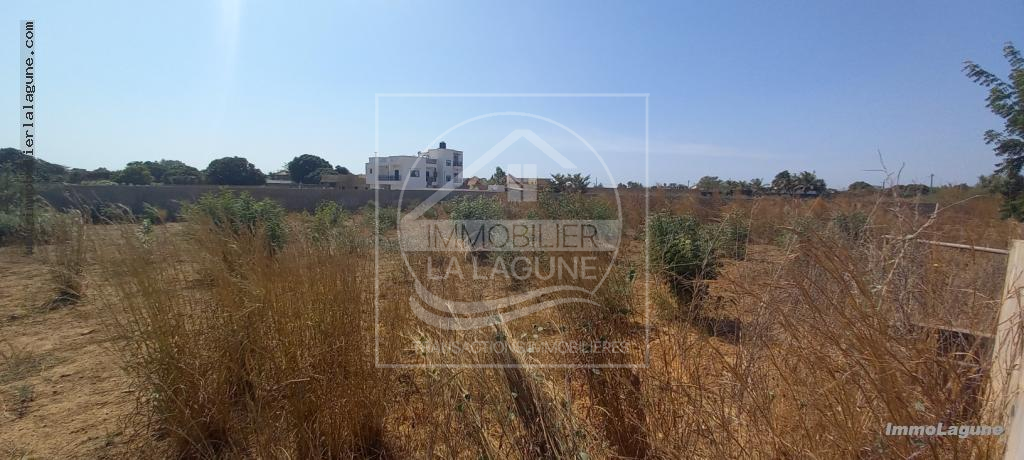 Agence Immobilière Saly Sénégal - T2863 - Terrain à NGUERIGNE - T2863-terrain-a-vendre-a-nguerigne-senegal
