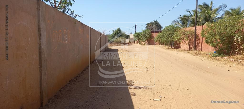 Agence Immobilière Saly Sénégal - T2863 - Terrain à NGUERIGNE - T2863-terrain-a-vendre-a-nguerigne-senegal