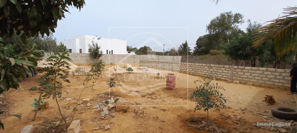 Agence Immobilière Saly Sénégal - T2901 - Terrain à NGAPAROU - T2901-terrain-a-vendre-a-ngaparou-senegal