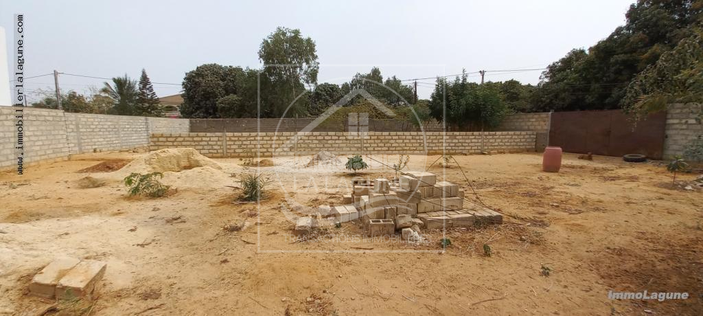 Agence Immobilière Saly Sénégal - T2901 - Terrain à NGAPAROU - 