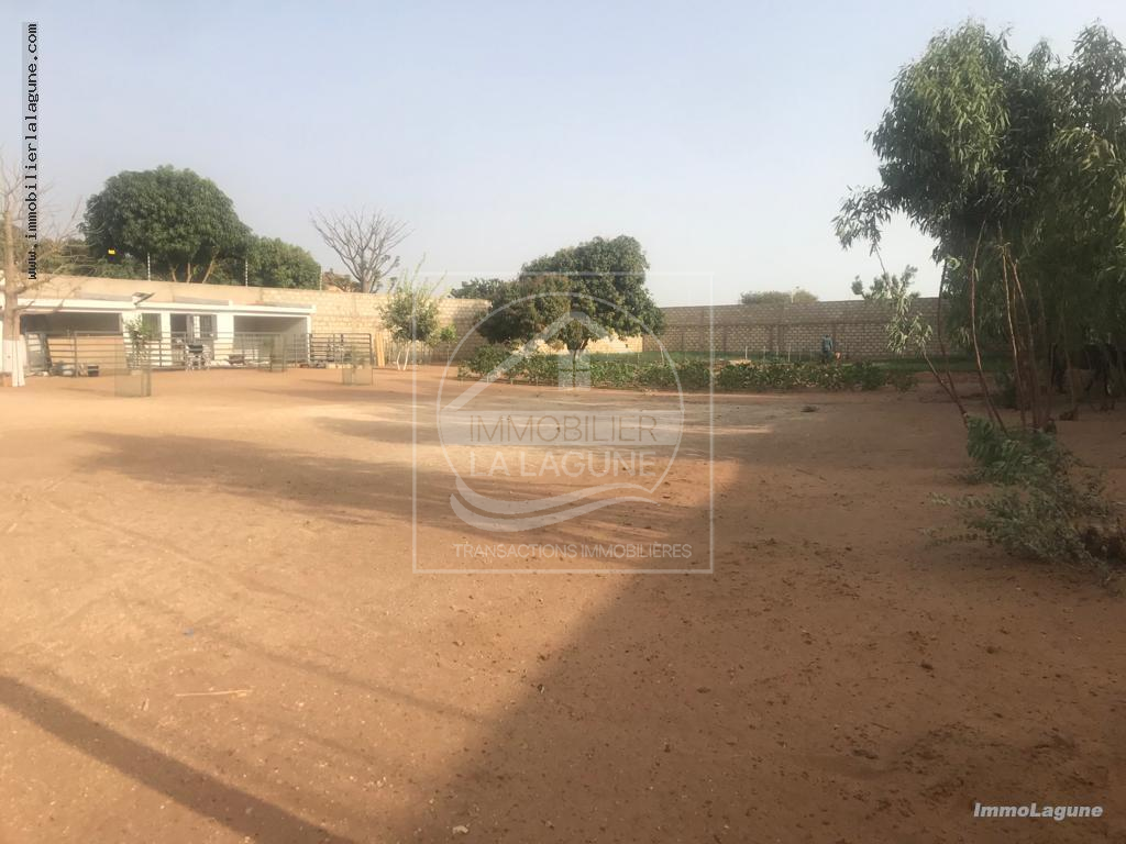 Agence Immobilière Saly Sénégal - T2918 - Terrain à NGUERIGNE - T2918-terrain-en-vente-a-nguerigne-senegal