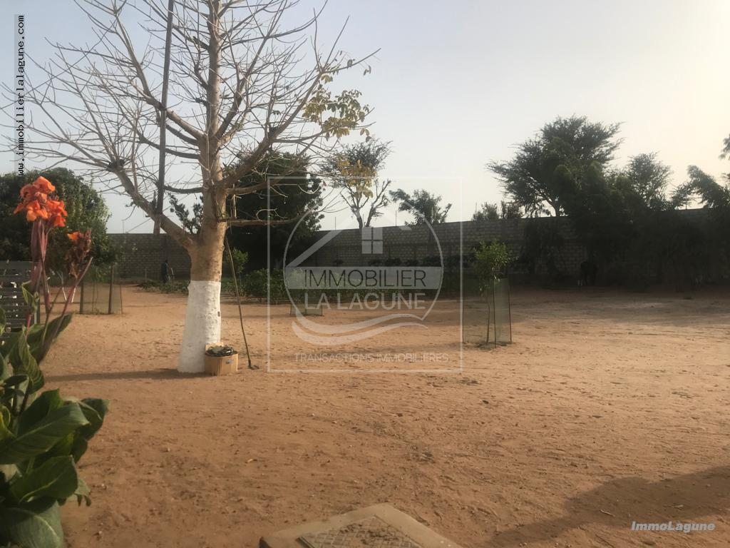 Agence Immobilière Saly Sénégal - T2918 - Terrain à NGUERIGNE - T2918-terrain-en-vente-a-nguerigne-senegal