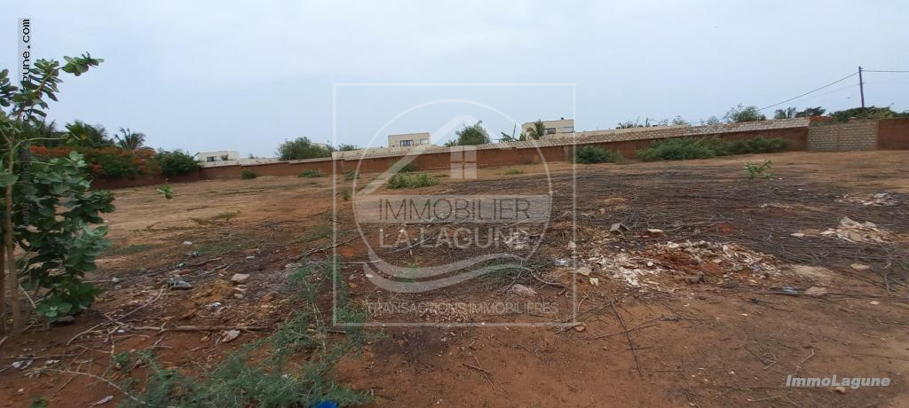 Agence Immobilière Saly Sénégal - T2933 - Terrain à NGUERIGNE - T2933-terrain-a-vendre-a-nguerigne-senegal