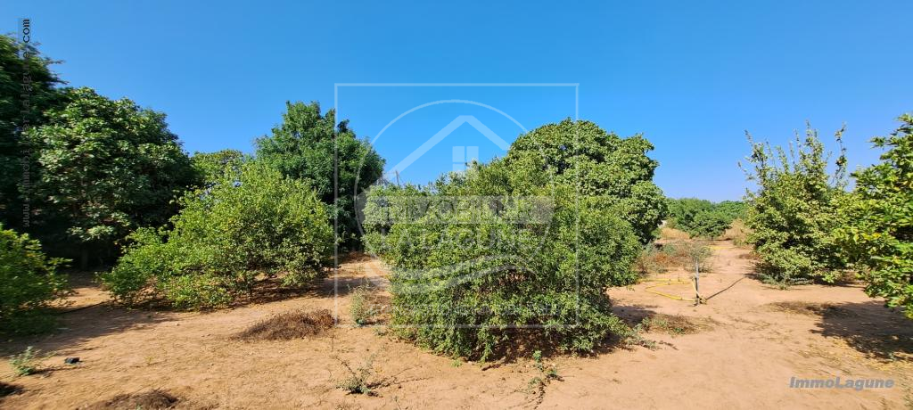 Agence Immobilière Saly Sénégal - T2980 - Terrain à N'DIOROKH - T2980-terrain-a-vendre-a-ndiorokh-senegal