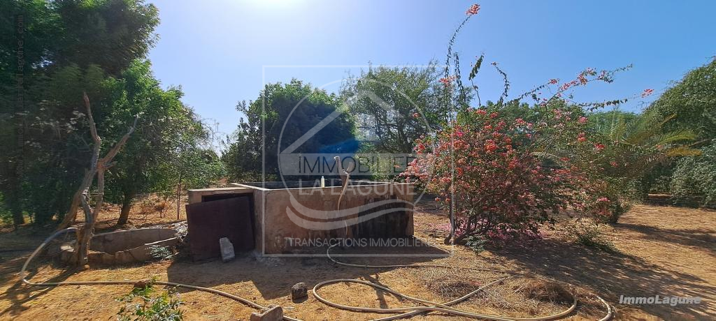 Agence Immobilière Saly Sénégal - T2980 - Terrain à N'DIOROKH - T2980-terrain-a-vendre-a-ndiorokh-senegal