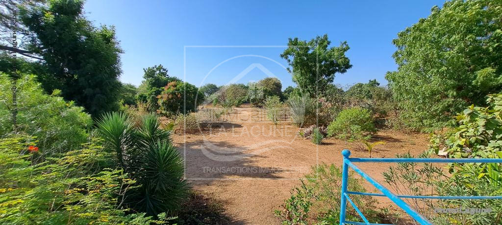Agence Immobilière Saly Sénégal - T2980 - Terrain à N'DIOROKH - T2980-terrain-a-vendre-a-ndiorokh-senegal
