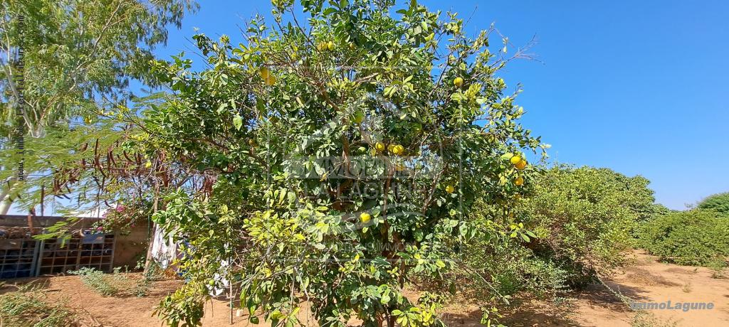 Agence Immobilière Saly Sénégal - T2980 - Terrain à N'DIOROKH - T2980-terrain-a-vendre-a-ndiorokh-senegal
