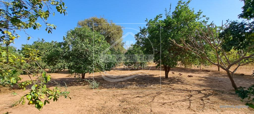 Agence Immobilière Saly Sénégal - T2980 - Terrain à N'DIOROKH - T2980-terrain-a-vendre-a-ndiorokh-senegal