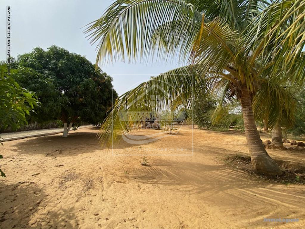 Agence Immobilière Saly Sénégal - V2814 - Villa à NGUERIGNE - V2814 villa a vendre nguerigne senegal