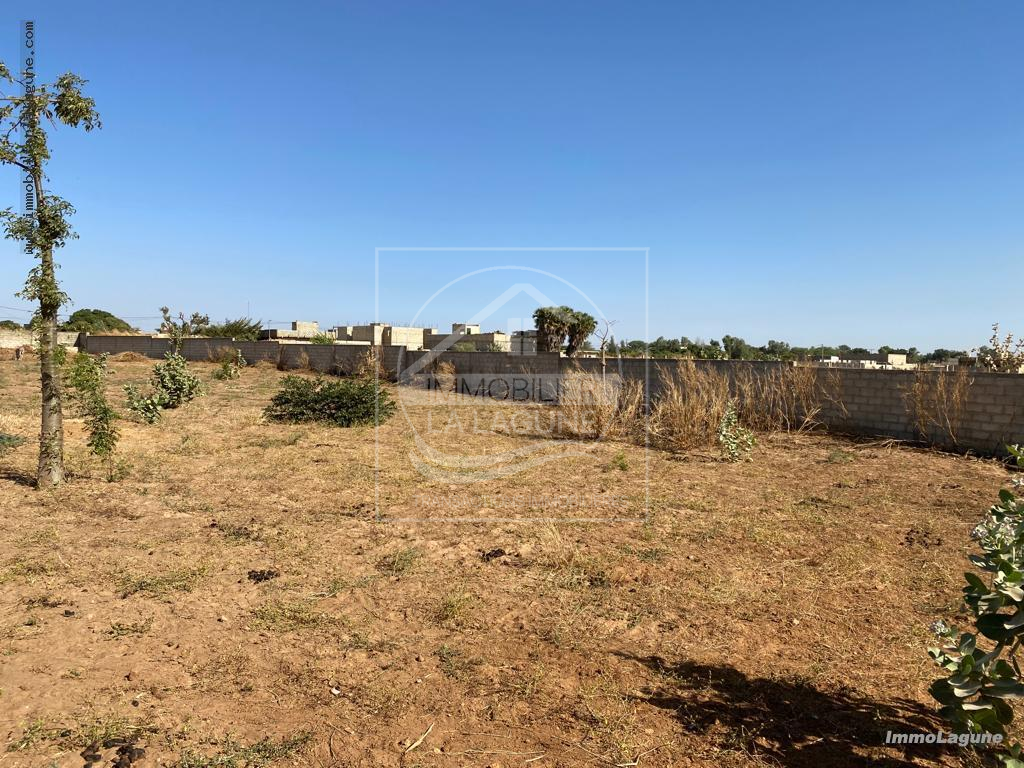 Agence Immobilière Saly Sénégal - T3061 - Terrain à NGUERIGNE - T3061 Terrain a vendre a nguerigne senegal