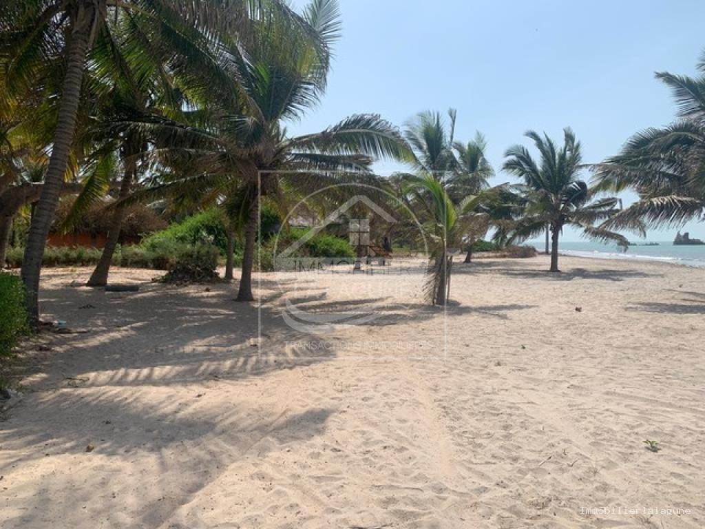 Agence Immobilière Saly Sénégal - T3150 - Terrain à PALMARIN - T3150 Terrain a vendre Palmarin senegal