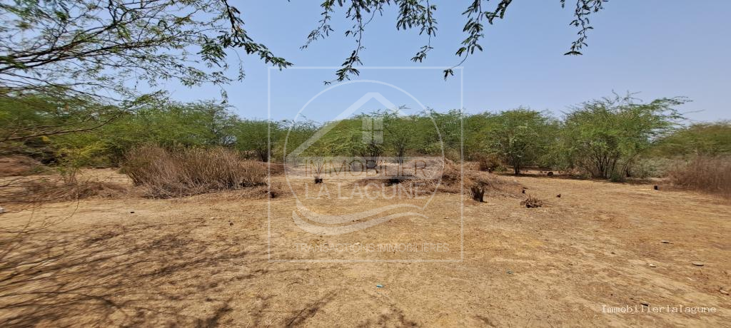 Agence Immobilière Saly Sénégal - T3110 - Terrain à SOMONE - 