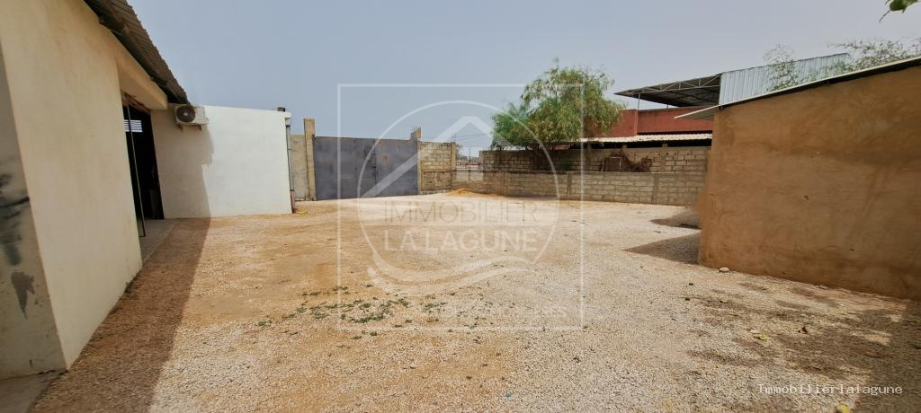 Agence Immobilière Saly Sénégal - T3169 - Terrain à NGUERIGNE - C3169-murs-et-fond-de-commerce-a-vendre-nguerigne-senegal