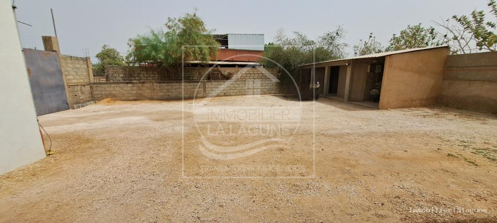 Agence Immobilière Saly Sénégal - T3169 - Terrain à NGUERIGNE - C3169-murs-et-fond-de-commerce-a-vendre-nguerigne-senegal