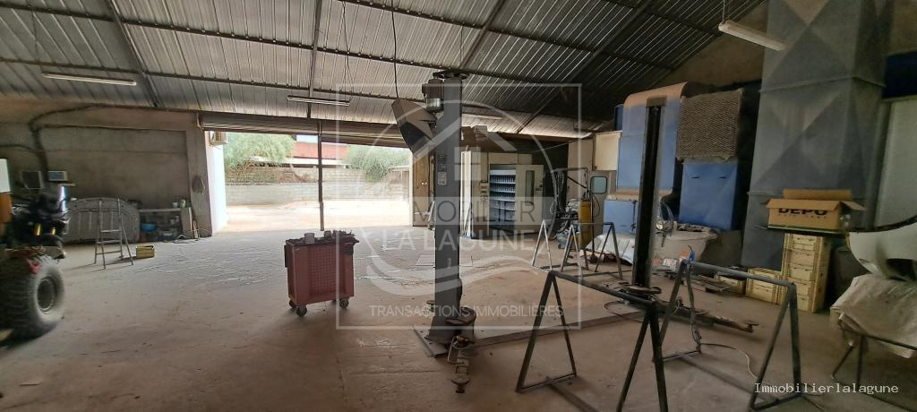 Agence Immobilière Saly Sénégal - T3169 - Terrain à NGUERIGNE - C3169-murs-et-fond-de-commerce-a-vendre-nguerigne-senegal