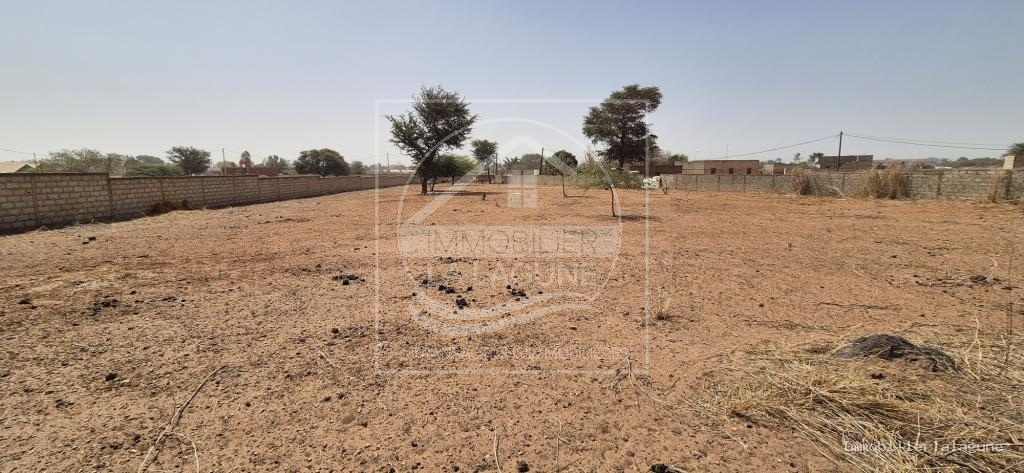 Agence Immobilière Saly Sénégal - T3256 - Terrain à NGUERIGNE - T3256-terrain-en-vente-a-nguerigne-senegal