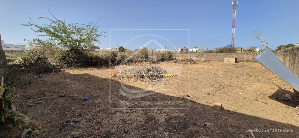 Agence Immobilière Saly Sénégal - T3262 - Terrain à SOMONE - T3262-terrain-en-vente-a-somone-senegal