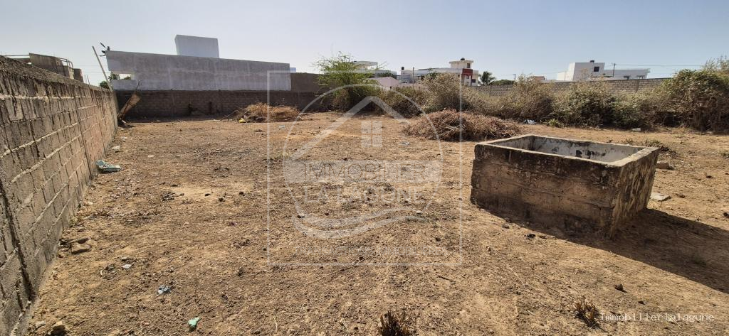 Agence Immobilière Saly Sénégal - T3262 - Terrain à SOMONE - T3262-terrain-en-vente-a-somone-senegal