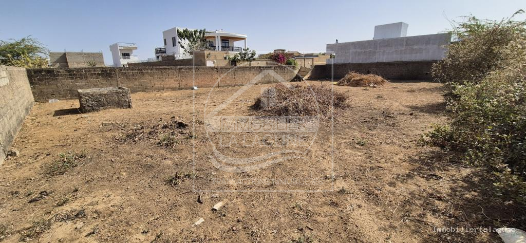 Agence Immobilière Saly Sénégal - T3262 - Terrain à SOMONE - T3262-terrain-en-vente-a-somone-senegal