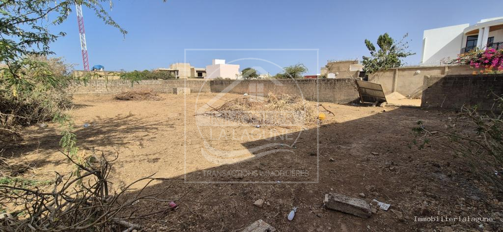 Agence Immobilière Saly Sénégal - T3262 - Terrain à SOMONE - T3262-terrain-en-vente-a-somone-senegal
