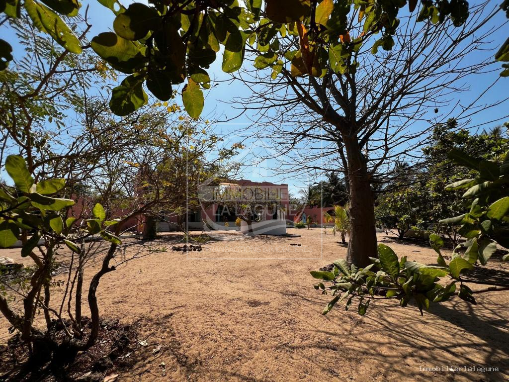 Agence Immobilière Saly Sénégal - C2373 - Commerce à PALMARIN - C2373 affaire-commerciale-en-vente-a-palamarin-djiffer-senegal