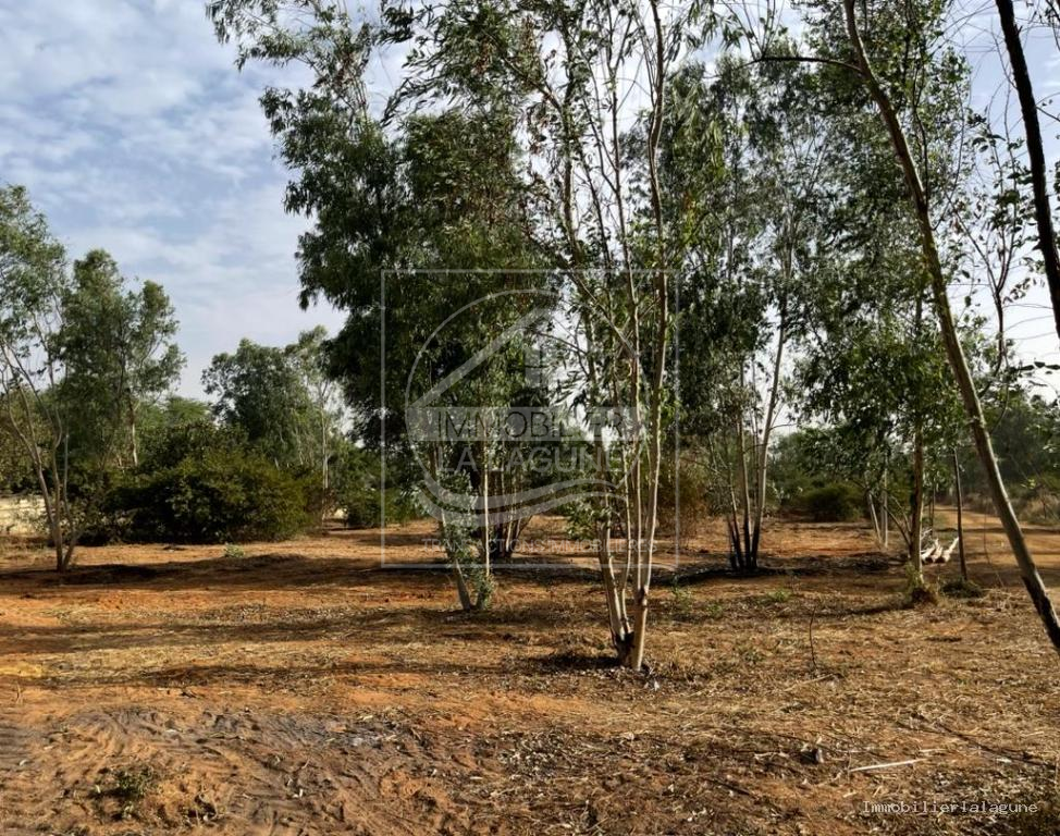 Agence Immobilière Saly Sénégal - V3272 - Villa à NGUERIGNE - V3272 villa neuve a vendre nguerigne senegal
