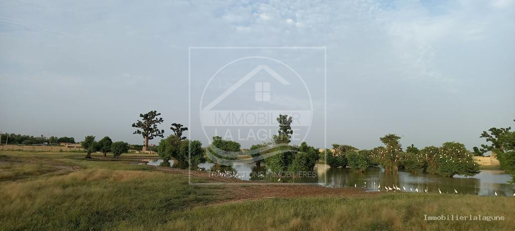 Agence Immobilière Saly Sénégal - T2513 - Terrain à GANDIGAL - T2413-terrain-a-vendre-a-gandigal-senegal