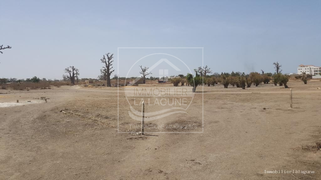Agence Immobilière Saly Sénégal - T2513 - Terrain à GANDIGAL - T2413-terrain-a-vendre-a-gandigal-senegal