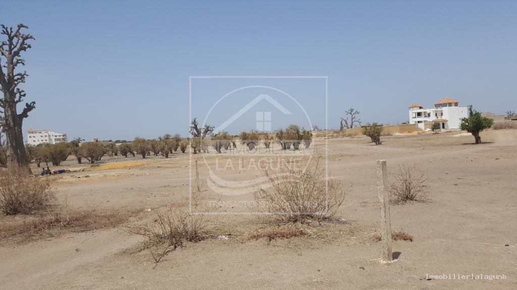 Agence Immobilière Saly Sénégal - T2513 - Terrain à GANDIGAL - T2413-terrain-a-vendre-a-gandigal-senegal