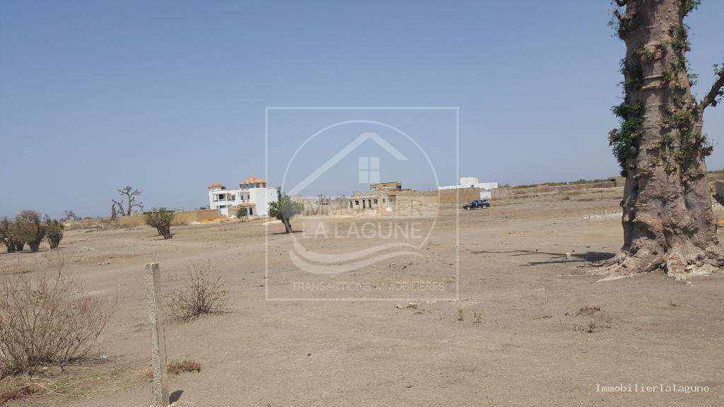 Agence Immobilière Saly Sénégal - T2513 - Terrain à GANDIGAL - T2413-terrain-a-vendre-a-gandigal-senegal