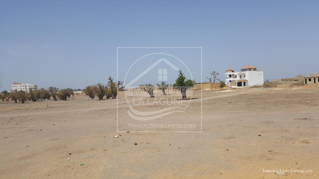 Agence Immobilière Saly Sénégal - T2513 - Terrain à GANDIGAL - T2413-terrain-a-vendre-a-gandigal-senegal