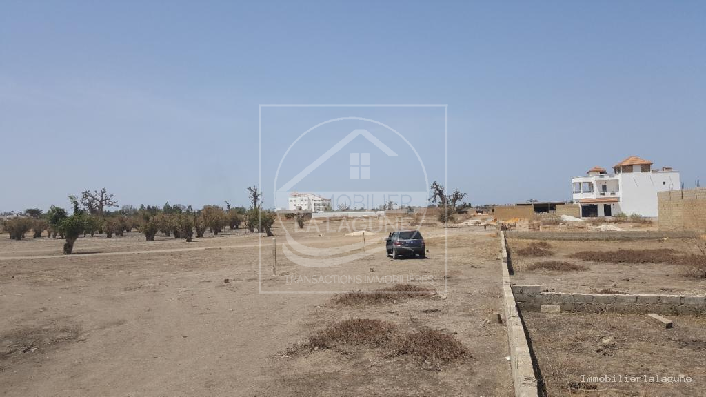Agence Immobilière Saly Sénégal - T2513 - Terrain à GANDIGAL - T2413-terrain-a-vendre-a-gandigal-senegal