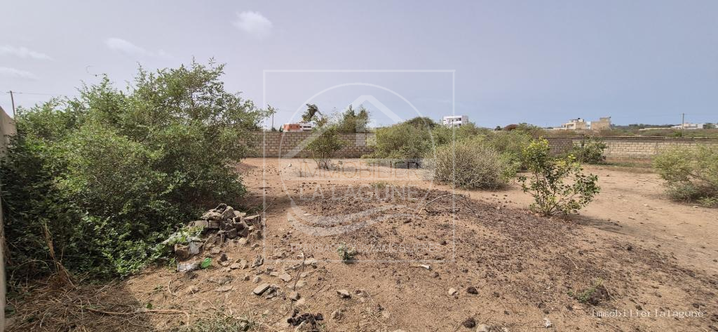 Agence Immobilière Saly Sénégal - T3290 - Terrain à SALY - T3290-terrain-a-vendre-a-saly-senegal