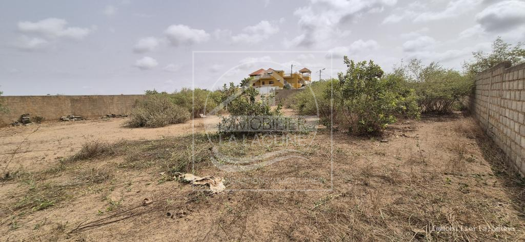 Agence Immobilière Saly Sénégal - T3290 - Terrain à SALY - T3290-terrain-a-vendre-a-saly-senegal
