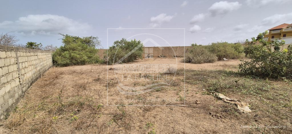 Agence Immobilière Saly Sénégal - T3290 - Terrain à SALY - T3290-terrain-a-vendre-a-saly-senegal