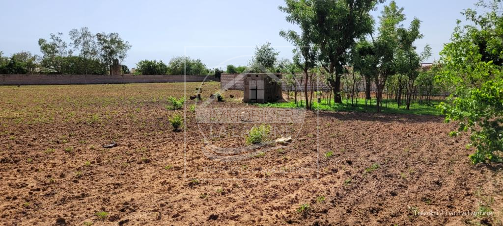 Agence Immobilière Saly Sénégal - T2735 - Terrain à NGUERIGNE - T2735-terrain-en-vente-a-nguerigne-bambara-senegal