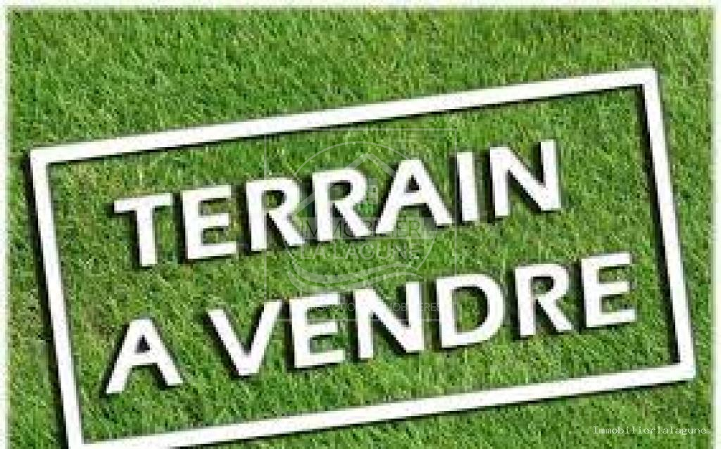 Agence Immobilière Saly Sénégal - T3319 - Terrain à NGUERIGNE - T3319 terrain a vendre Nguerigne Sénégal