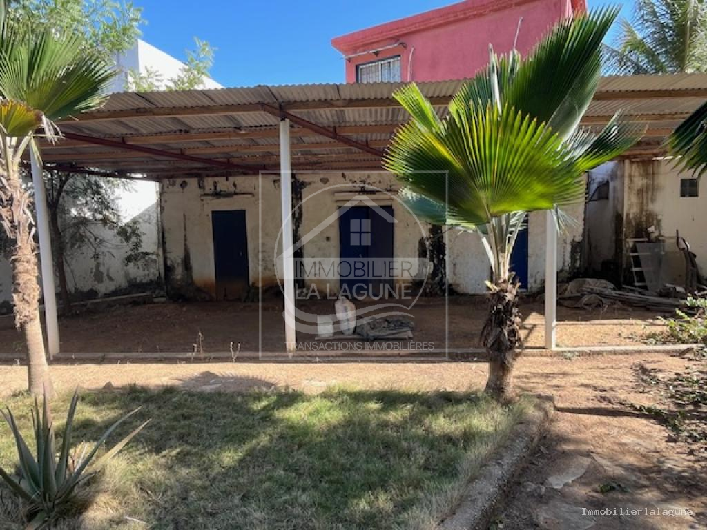 Agence Immobilière Saly Sénégal - T3328 - Terrain à SOMONE - T3328 terrain somone senegal 2em ligne mer