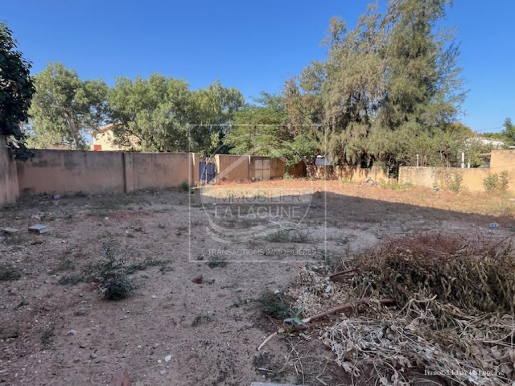 Agence Immobilière Saly Sénégal - T3328 - Terrain à SOMONE - T3328 terrain somone senegal 2em ligne mer