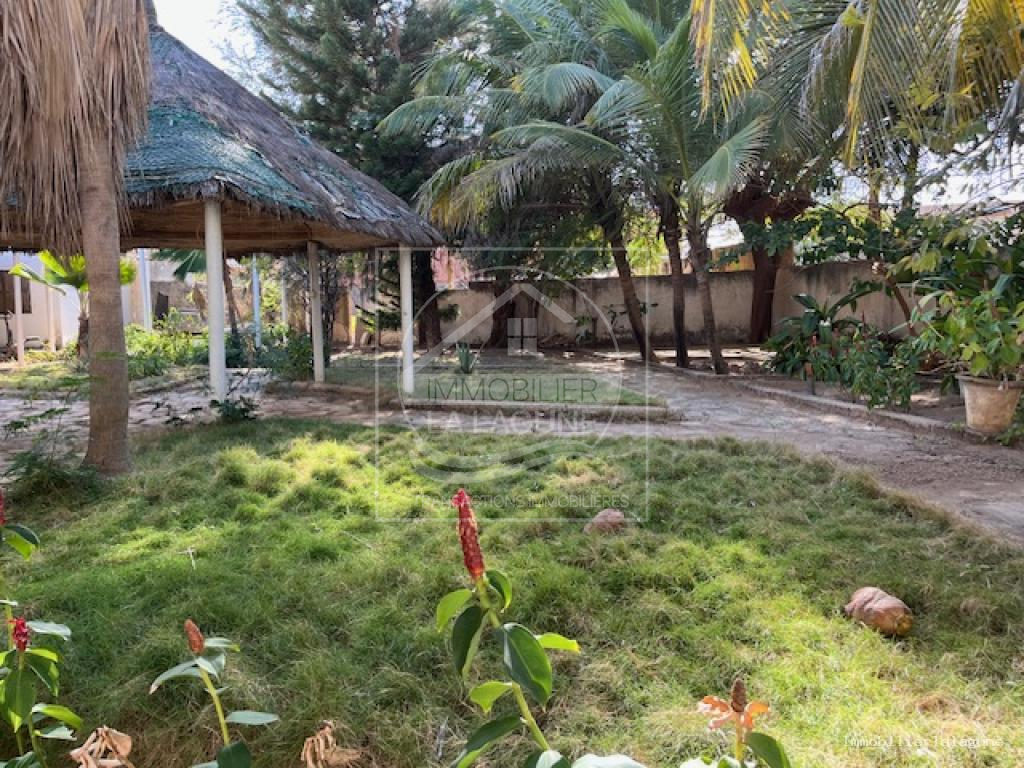 Agence Immobilière Saly Sénégal - T3328 - Terrain à SOMONE - T3328 terrain somone senegal 2em ligne mer